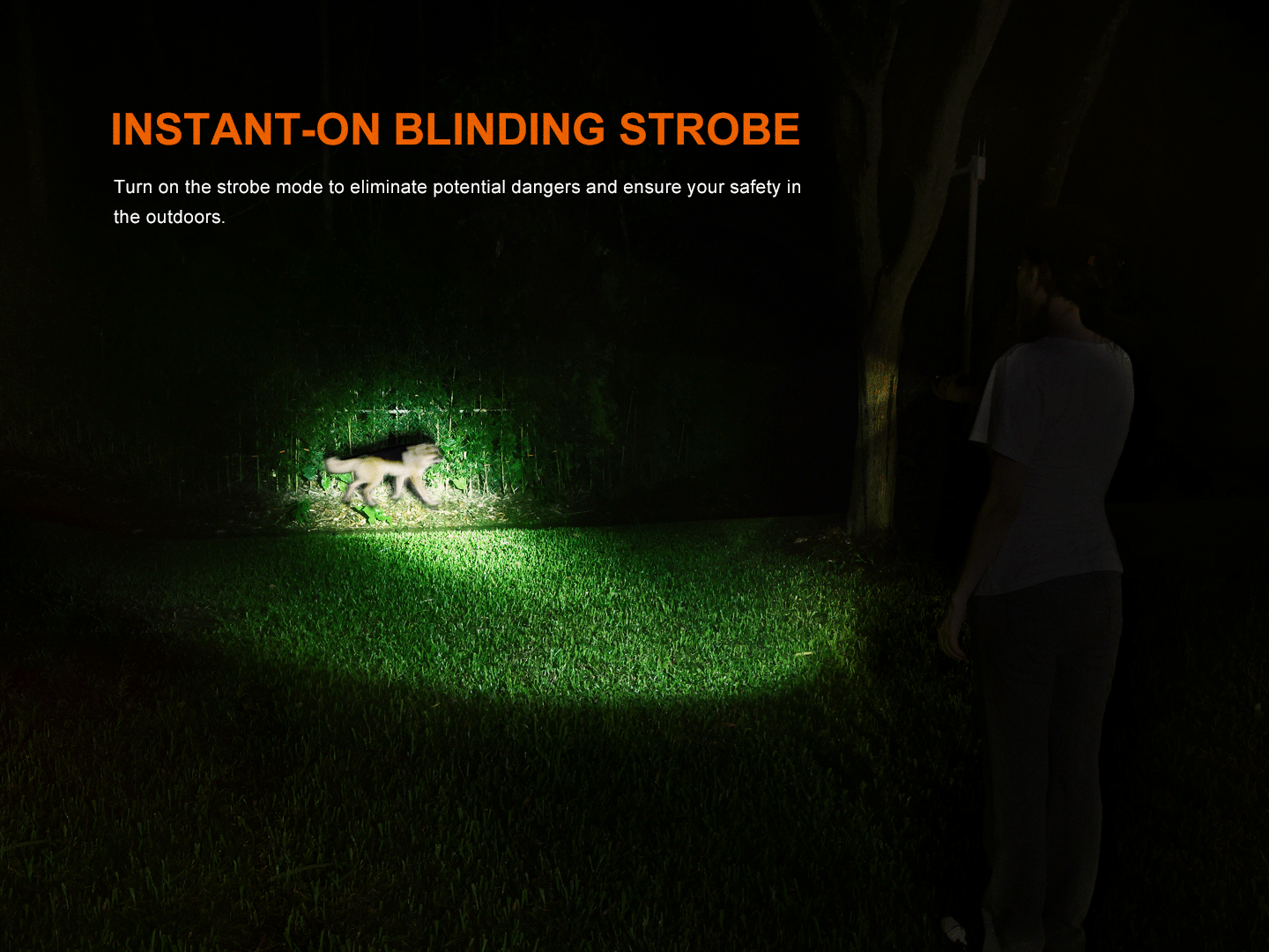Fenix LD35R (1800 lumens)